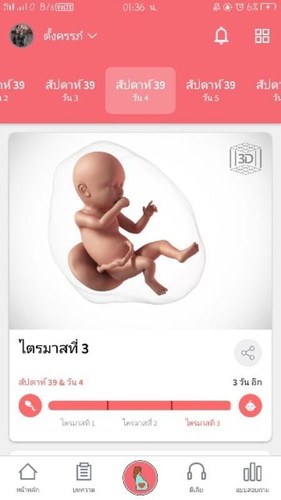 ทีมพฤษจิกายน+ท้องแรก