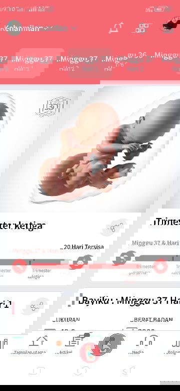 Hpl USG 27 Nov 😊, ada yang sama gak Bun,