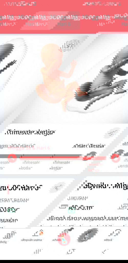 Kok masih anteng ya??