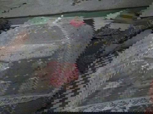 solusi buat nyamuk membandel