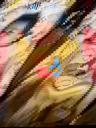 ขอดูเพื่อนๆนาวินหน่อยคับ