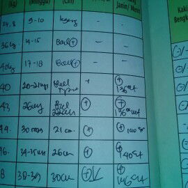 Kaya gini velom msuk panggul ya