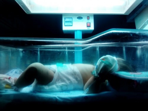 น้องตัวเหลืองค่ะทำงัยได้บ้างค่ะตอนนี้น้องกำลังอบอยู่