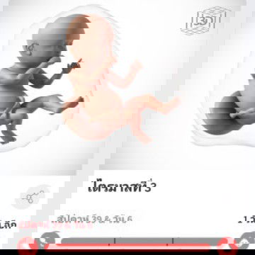 1วันสุดท้าย