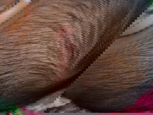 Obatnya apa ya bunda?