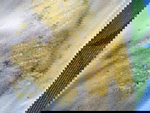 ลูกถ่ายแป็นมูกเป็นน้ำวันละหลายๆครั่ง