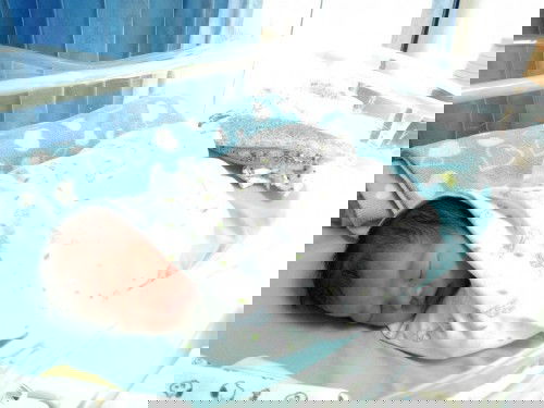 น้องอิ่มเอมมาแล้วจร้า