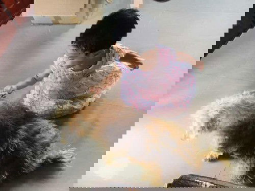 หนูฟ้ากับบ้านของคุณยาย