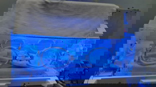 Sino po dito mga preemies moms? Share your successful stories para ma uplift naman po hope ko.