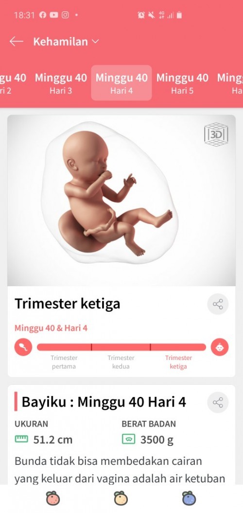 Masih menunggu gelombang cinta