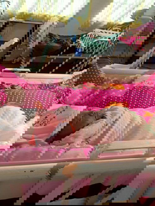 ..,team november...taas ang kamay ng nakaraos na and nasilayan na ang mga ngiti ni babies😍☺