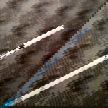 tespeck garis 2 tapi yang satu masih samar