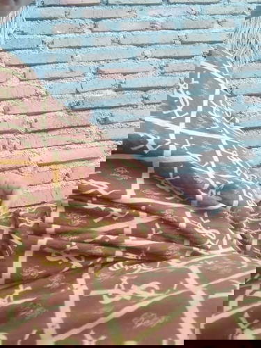 Usia brapa bulan baru perut kelihatan besar sekali