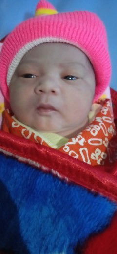 Hpl 11 nov lahir 8 nov