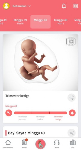40 weeks (11.11)
