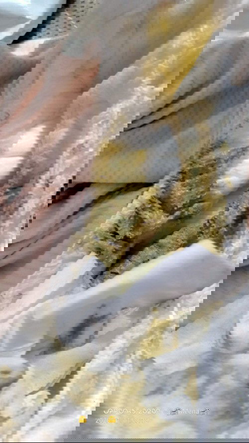 pup wrn hitam muda kehijauun