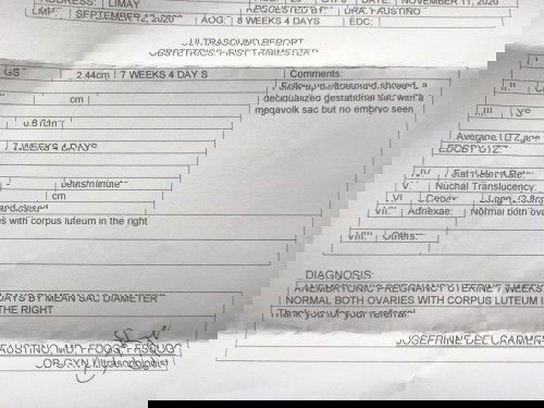 Blighted Ovum at 7 weeks?