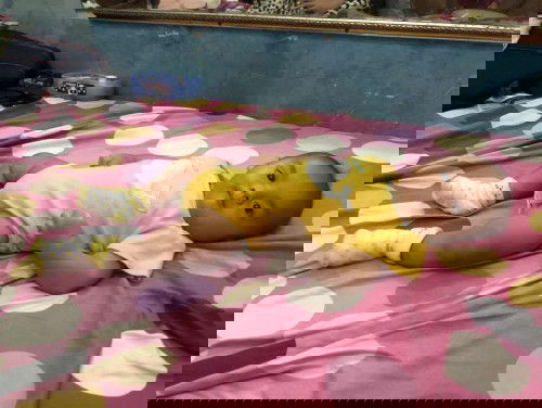 Umur 4 bulan kurang 4 hari blm bisa tengkurep