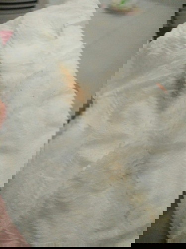 tanya dong bun, hamil kembar UK 11 minggu muncul flek coklat dikit perlu periksa ga bun ?