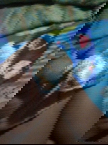 น้องน้อย...