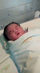 alhamdulillah launching di tgl cantik 11.11.2020 jam 11.10 wib