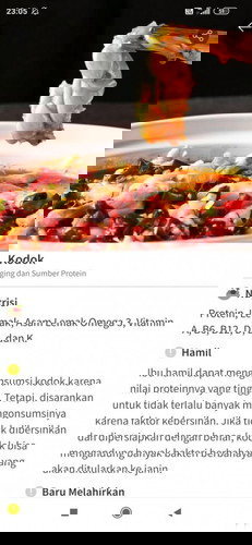 Seriusan ini KODOK ngorek