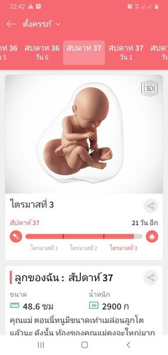 37Week แล้วจร้า
