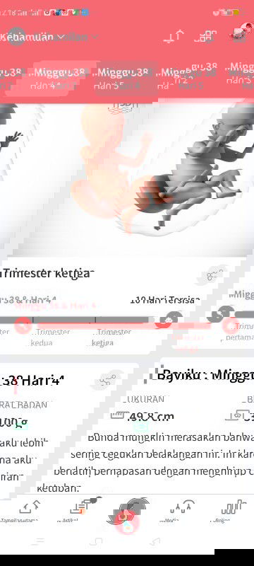 HPL november 10 hr lg tp dede msh anteng aja