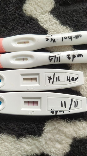 Minggu ke berapa seeloknya scan?