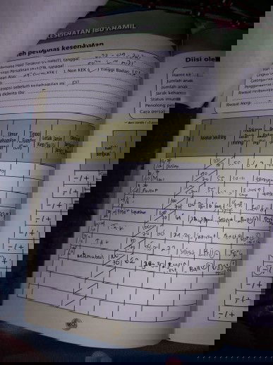 tinggi pundus normal