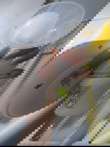 breastpumping journey