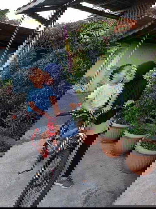 Jual preloved Sepeda