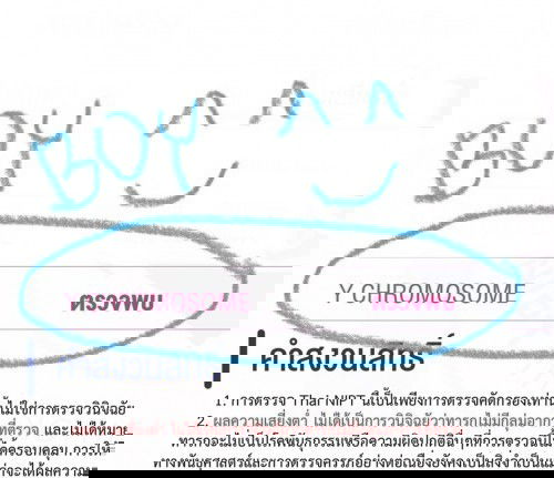 เจ้าลูกชายคนแรก