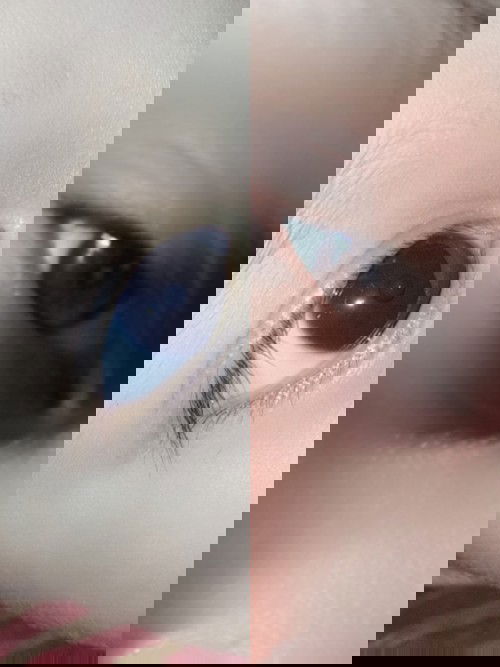 Colour mata anak lain