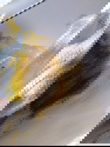 Baby 3bln lebih 22hri