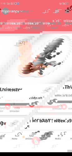3rd Trimester