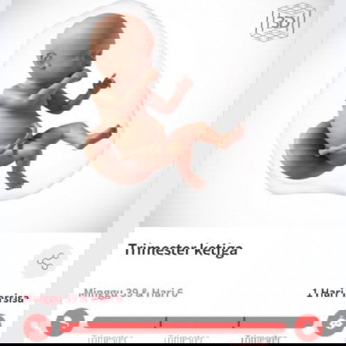 Menunggu gelombang cinta