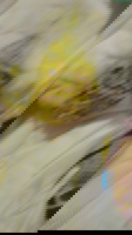 ขอคำแนะนำหน่อยค่ะ