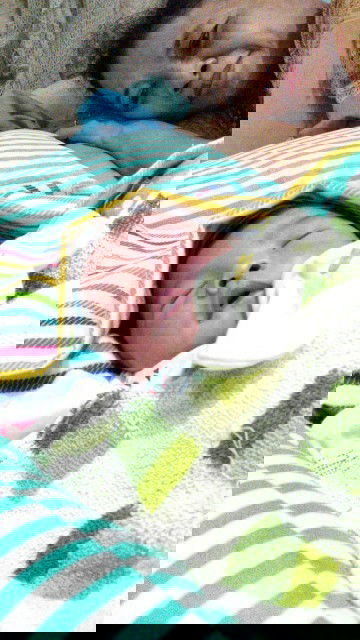 SC TIDAK SEMENYERAMKAN YG DIBAYANGKAN