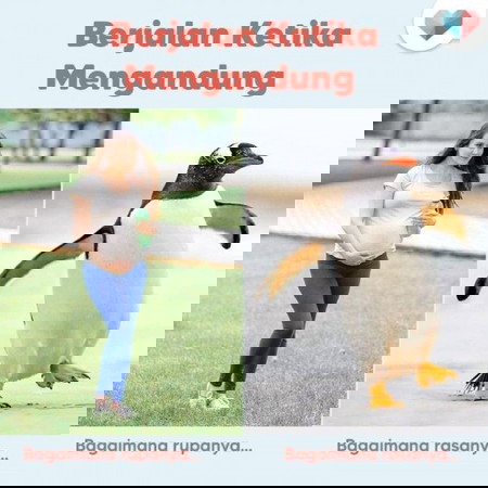 Waktu mengandung,gaya anda berjalan yang mana satu ibu?🤰