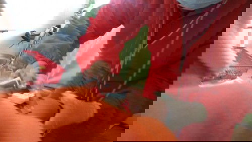 PENDARAHAN 10 WEEK 1 DAY