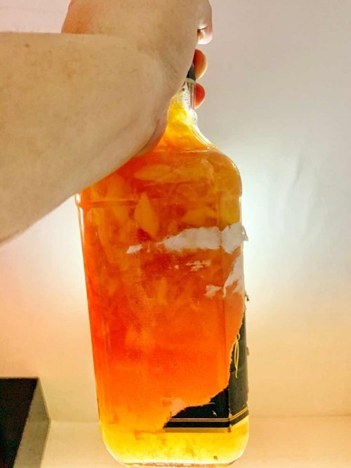 F2 kombucha