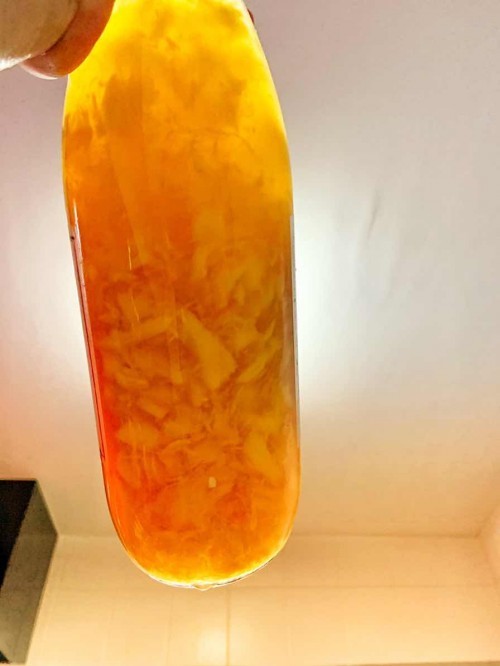 F2 kombucha
