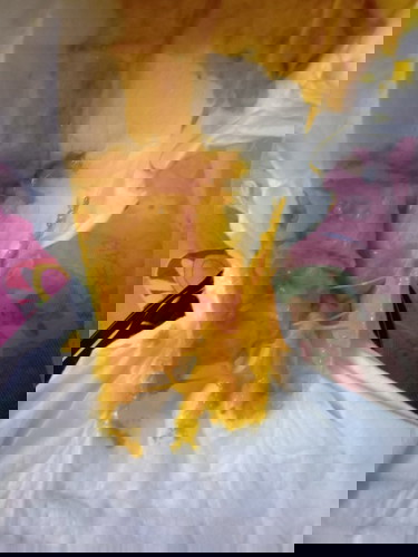 น้องอึแบบนี้ปกติไหมค่ะ