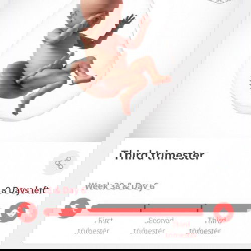 Team November🙋‍♀