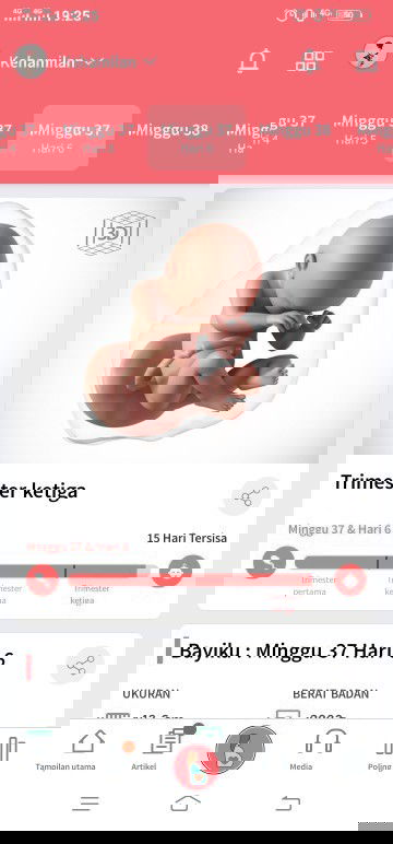 Menunggu gelombang cinta