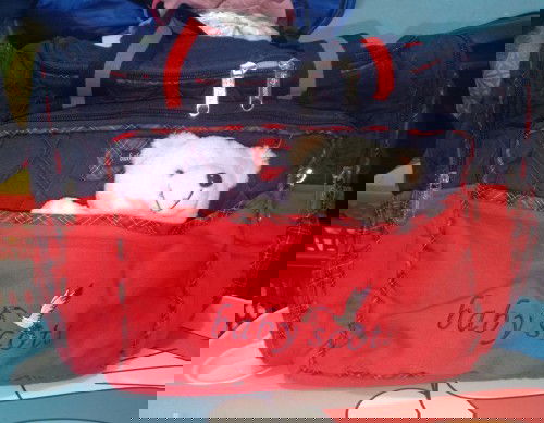 Jual Tas Preloved Merk Baby Scots