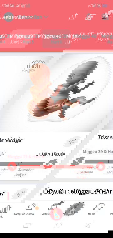 Pengen segera lounching