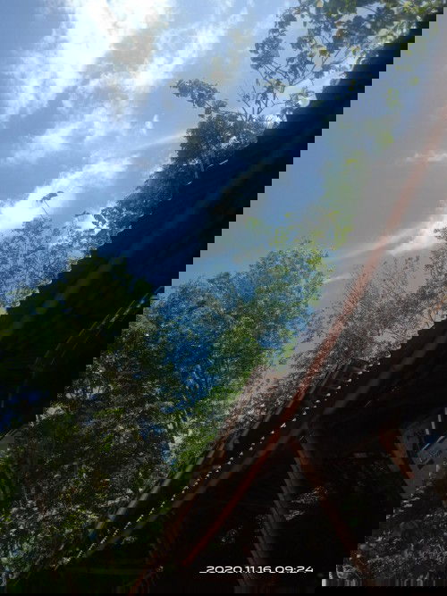 Keputihan ampas tahu