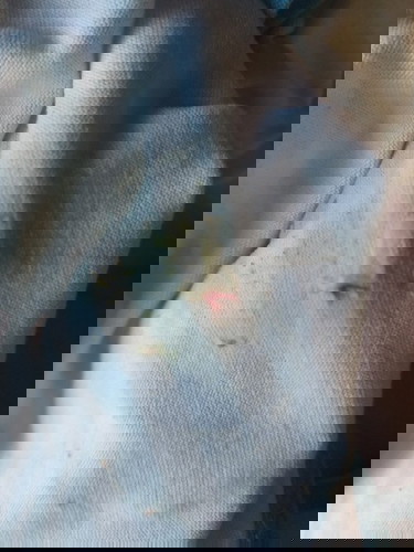 ใช่มูกเลือดไหมค่ะ